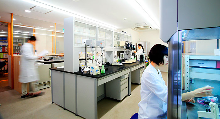 Japan Central R&D Labs